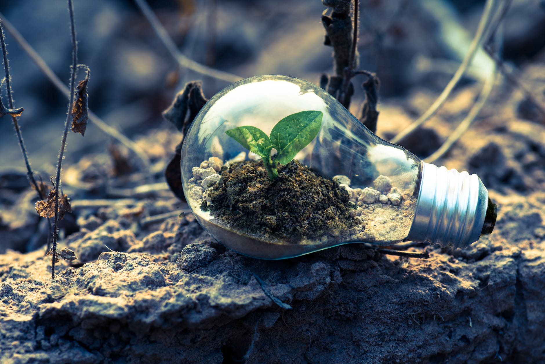 UNITEN leads Malaysia’s green hydrogen future using dark fermentation