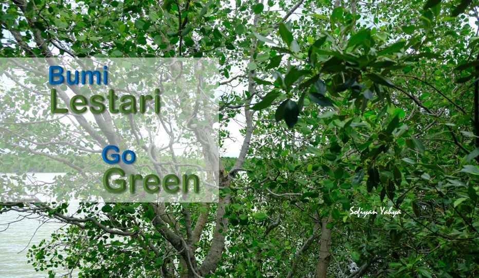 Appreciating Malaysian nature; visiting the mangrove forest