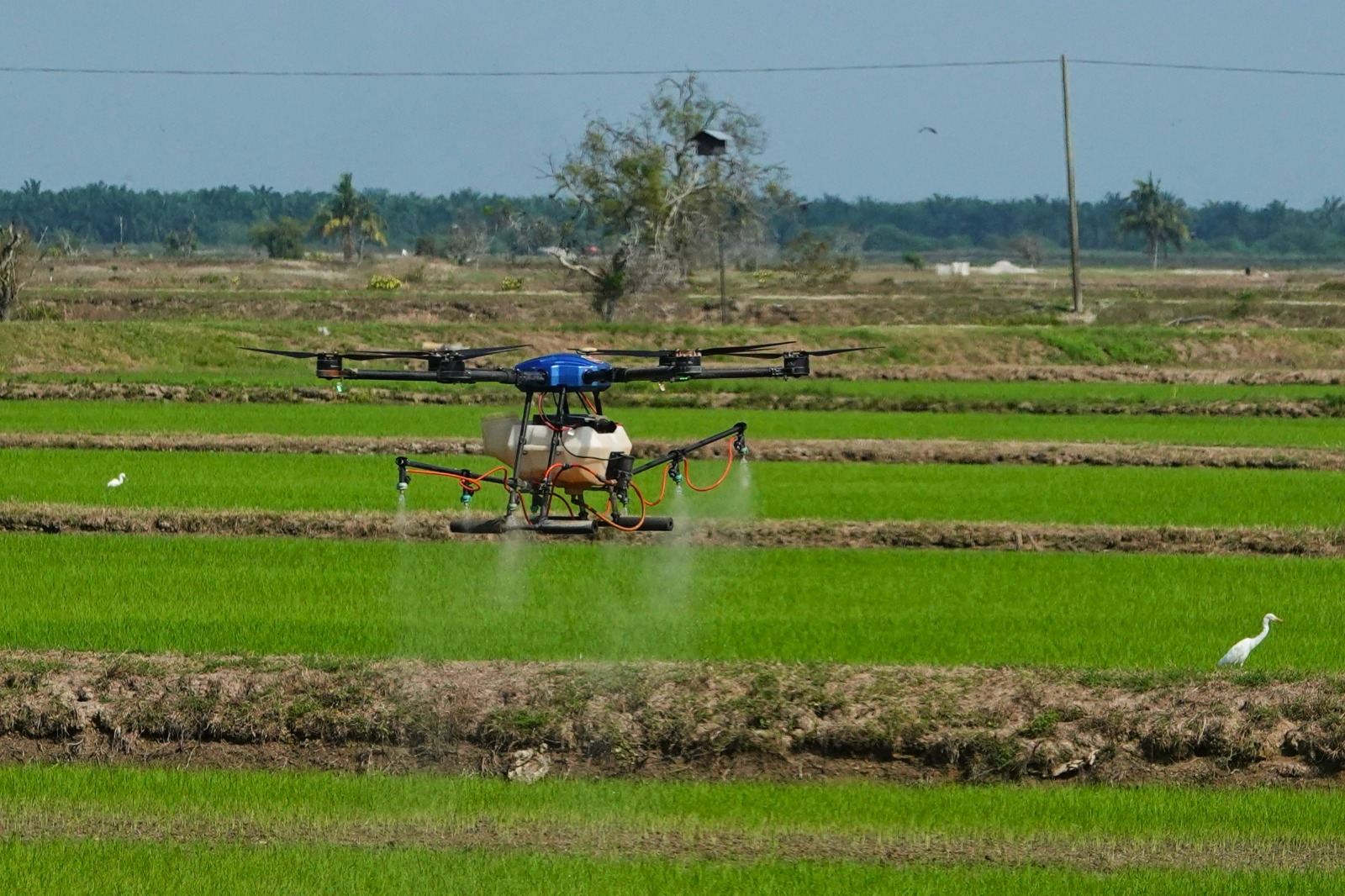 Technology applied to the paddy fields