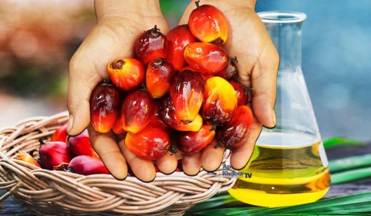 UM pupuk kesedaran masyarakat bersama OleoRangers