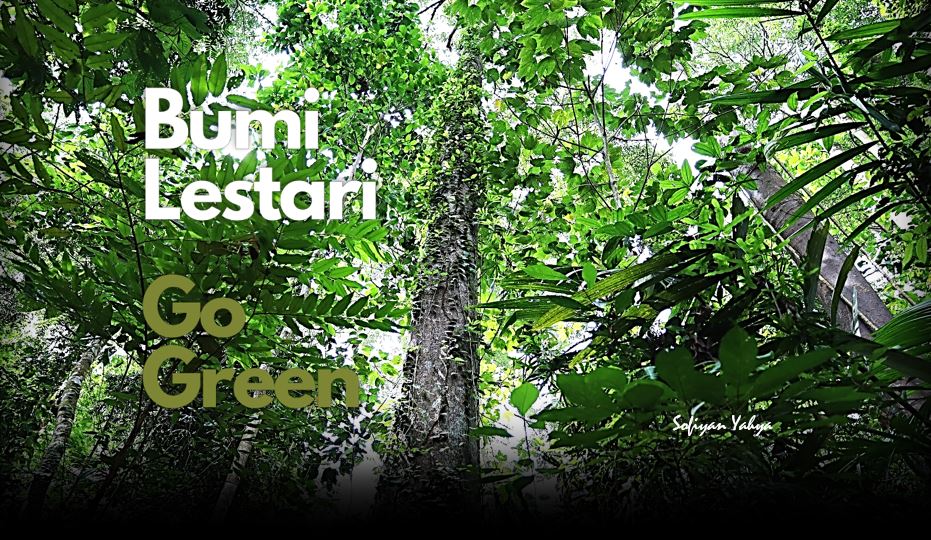 Into The Green A Quiet Place
