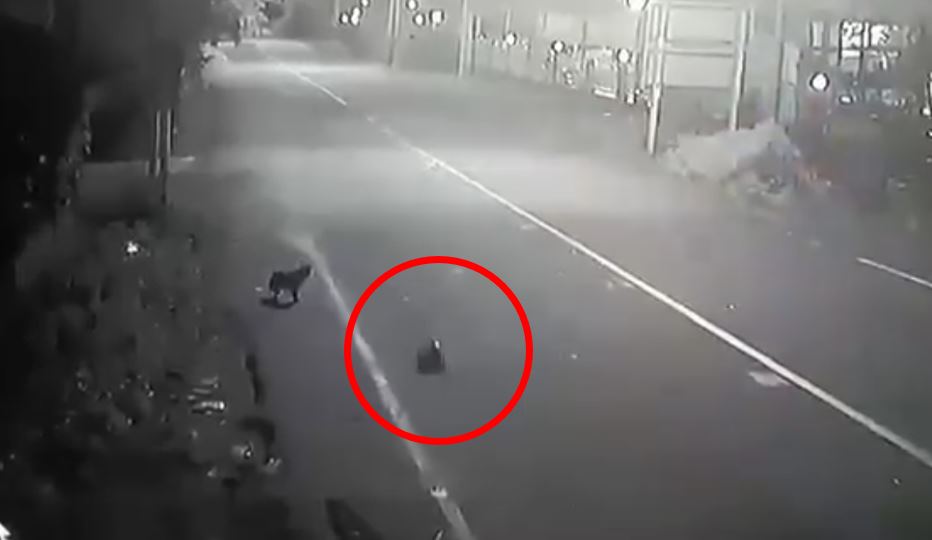 [VIDEO] Kereta mainan kawalan jauh pula bawa ‘bom’ serang pos kawalan Selatan Thai