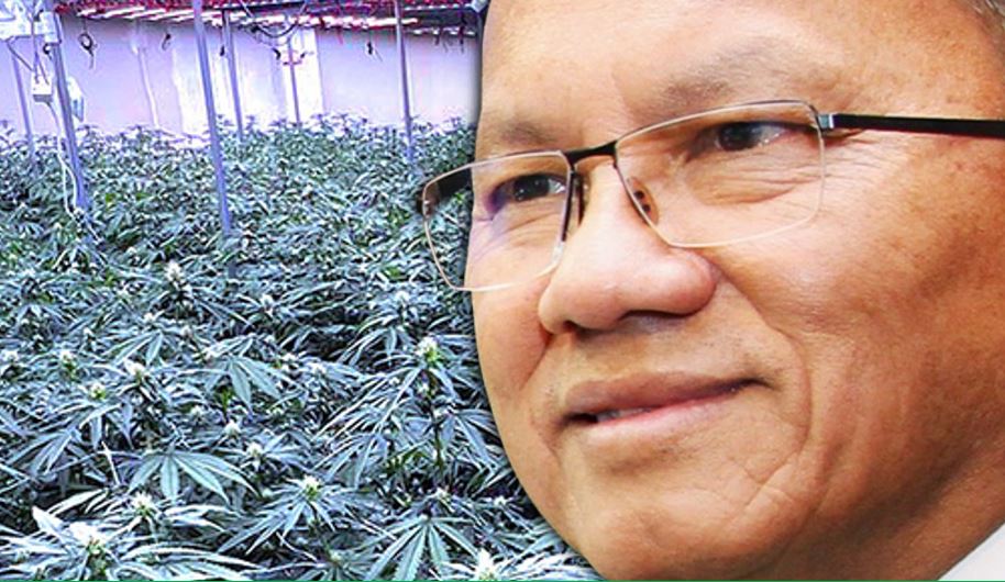 Thailand haramkan ganja