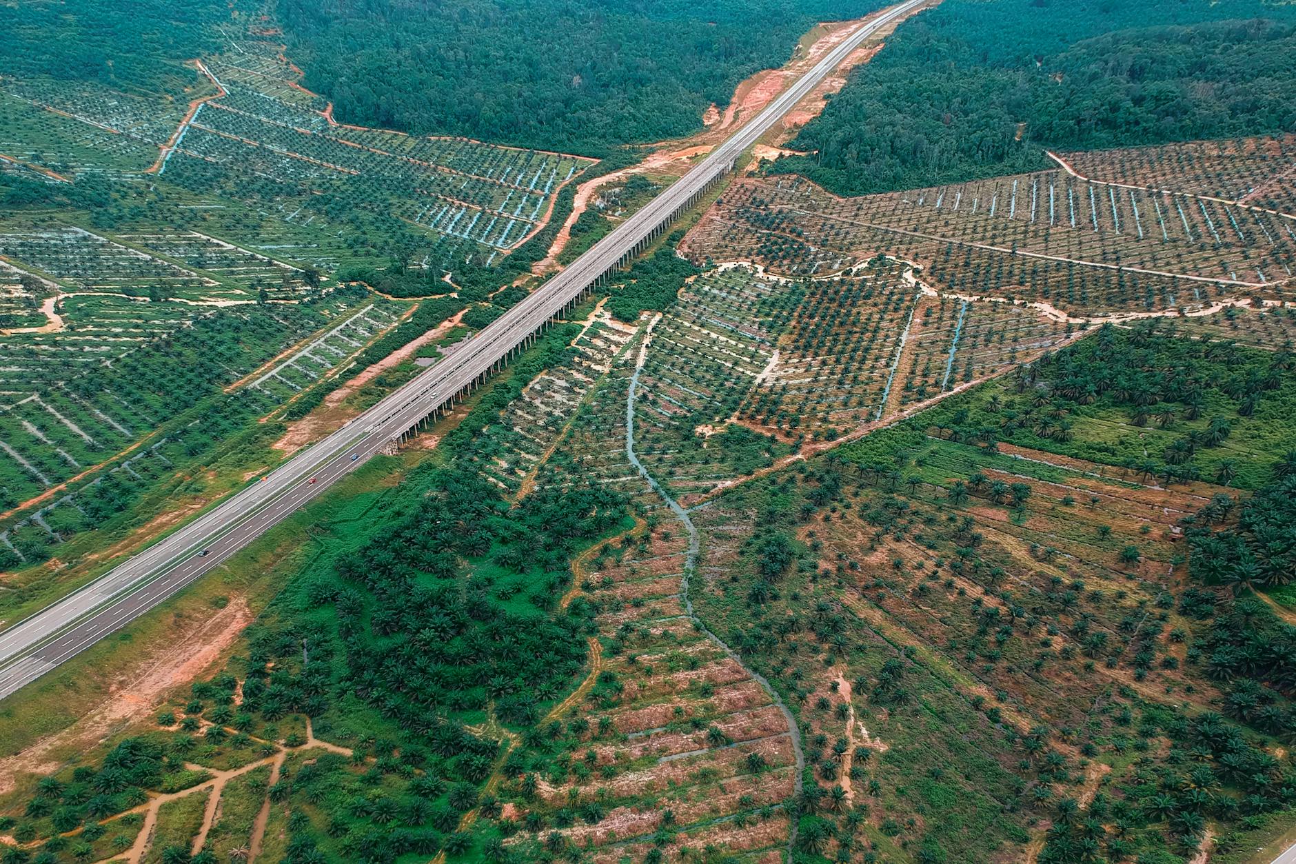 bird s eye view photo of field