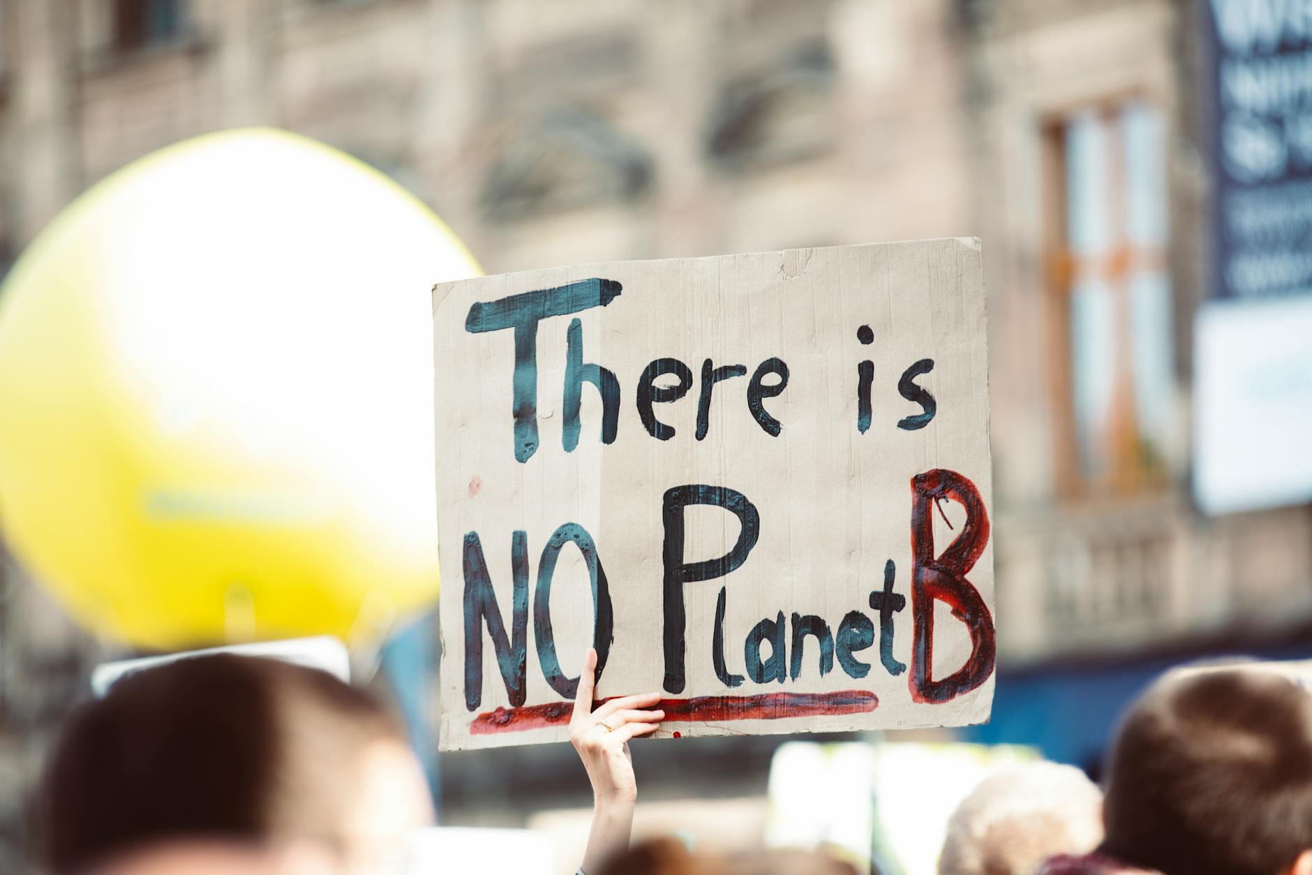 Sustainably ours