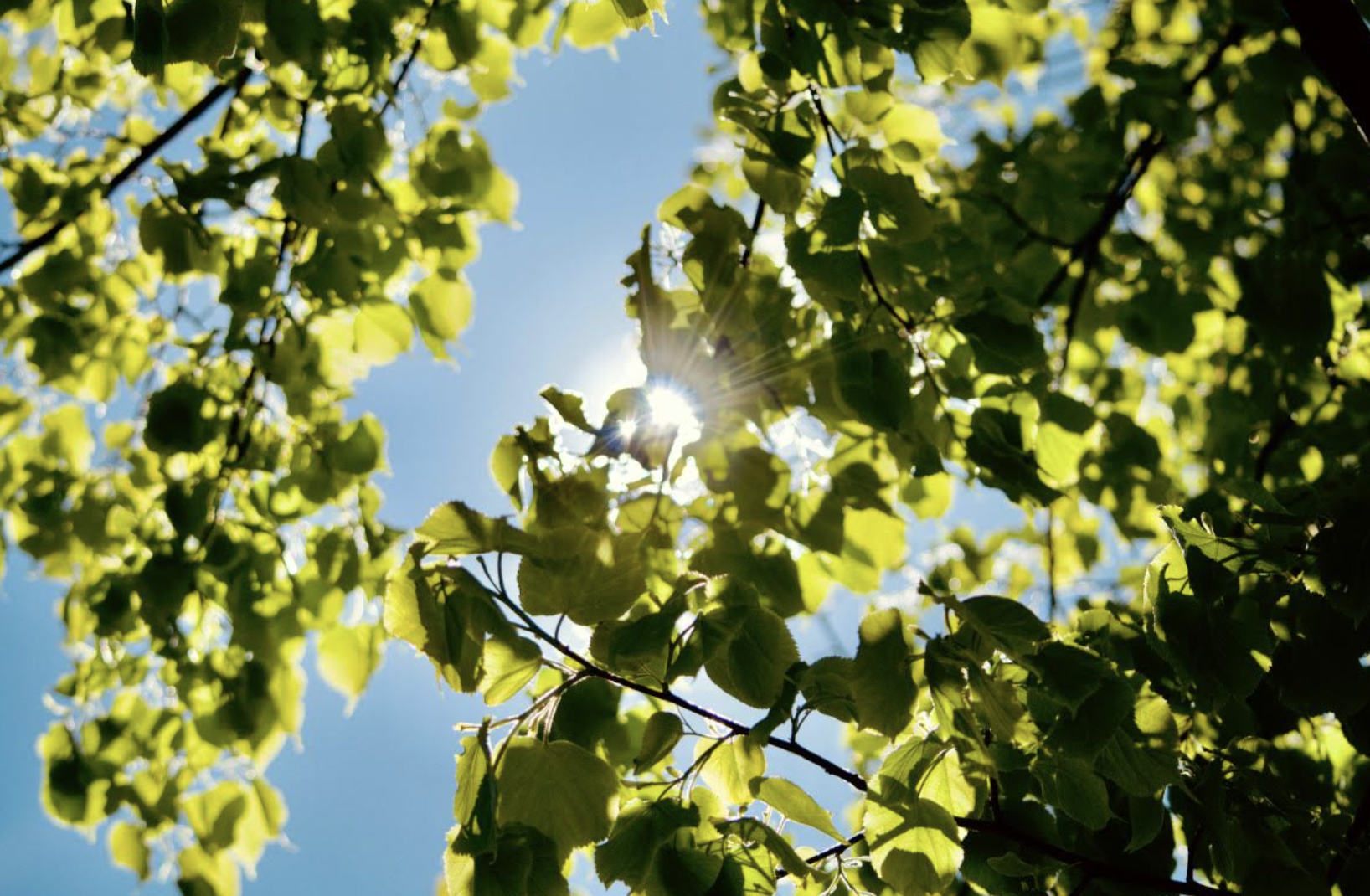 Why ESG is your business’s new compass, not just another report